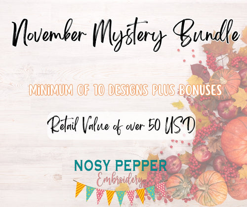 November 2024 Mystery Bundle--PLEASE READ