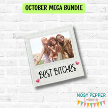 Load image into Gallery viewer, Best B!tches frame 25 Fall Mature Mystery Bundle machine embroidery design DIGITAL DOWNLOAD