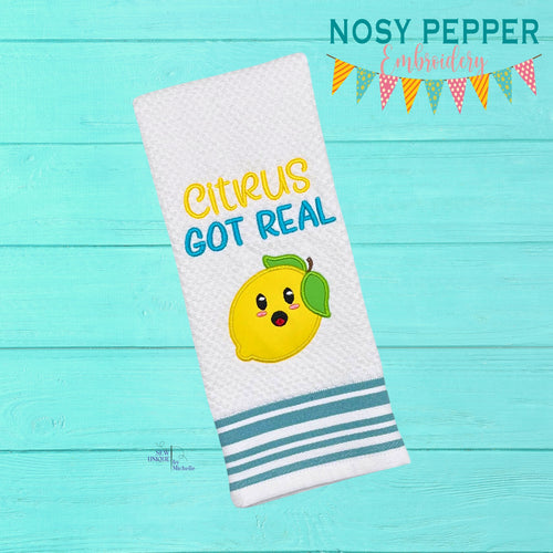 Citrus got real Applique machine embroidery design (5 sizes included) DIGITAL DOWNLOAD