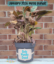 Load image into Gallery viewer, Only Mostly Dead planter band (3 sizes included) machine embroidery design DIGITAL DOWNLOAD