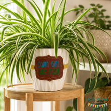 Load image into Gallery viewer, Nice Plant planter band (3 sizes included) machine embroidery design DIGITAL DOWNLOAD