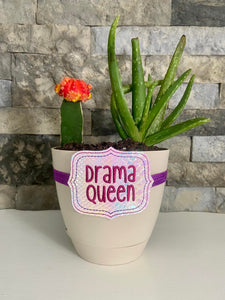 Drama queen planter band (3 sizes included) machine embroidery design DIGITAL DOWNLOAD