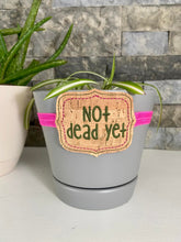 Load image into Gallery viewer, Not dead yet planter band (3 sizes included) machine embroidery design DIGITAL DOWNLOAD