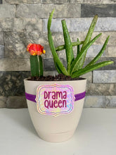 Load image into Gallery viewer, Drama queen planter band (3 sizes included) machine embroidery design DIGITAL DOWNLOAD