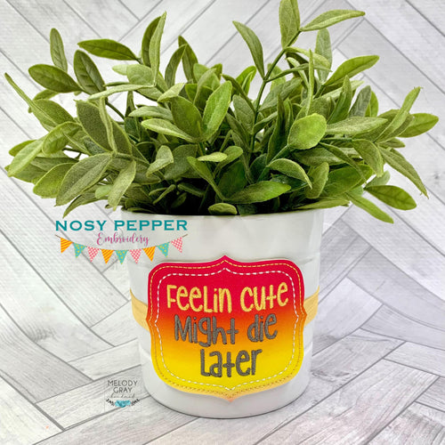 Feelin cute might die later planter band (3 sizes included) machine embroidery design DIGITAL DOWNLOAD