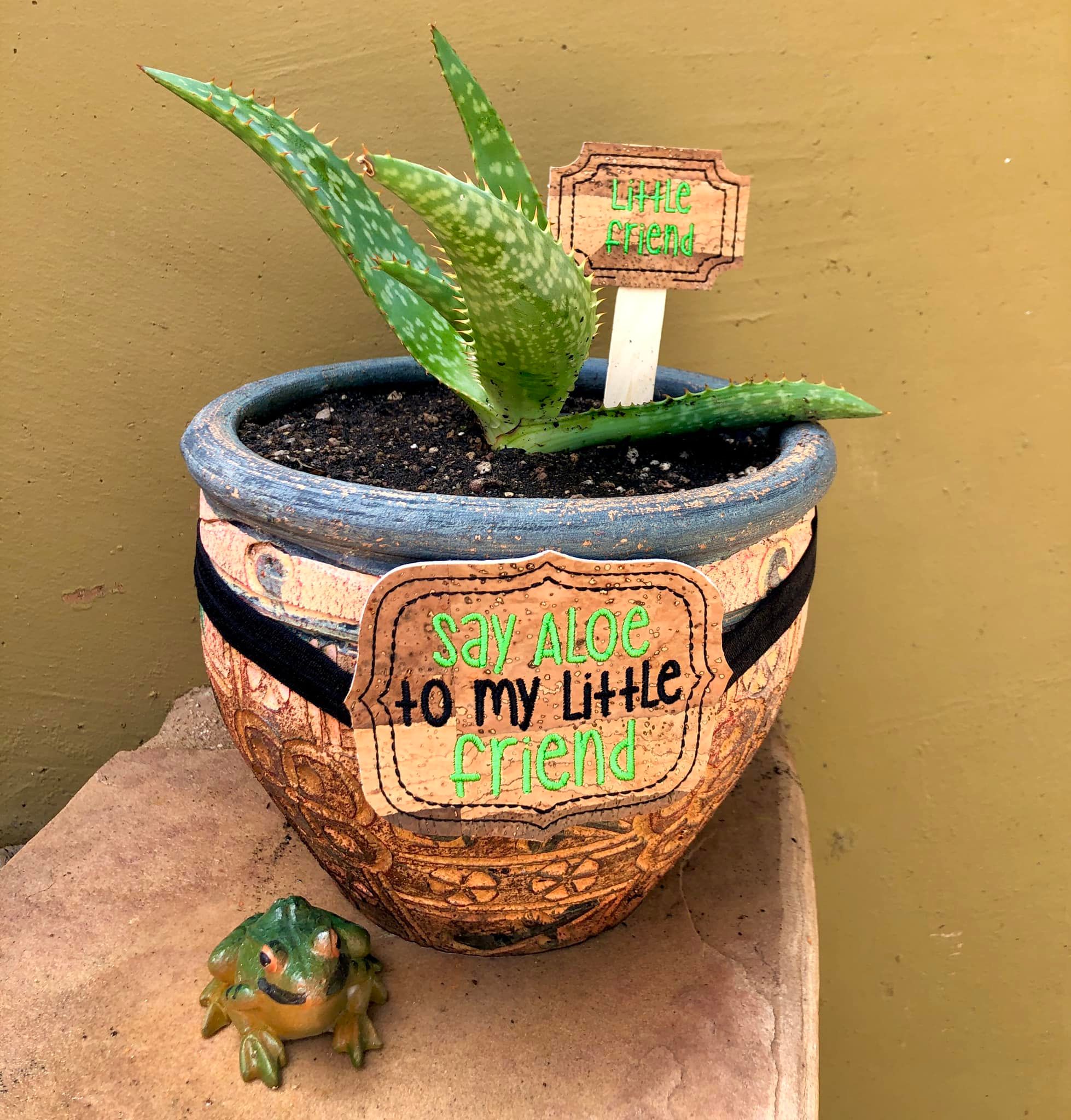 pepper on aloe vera plant Say Aloe to my little friend planter band & little friend plant marker – Nosy Pepper Patterns