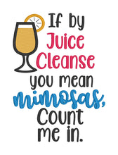 Load image into Gallery viewer, Juice Cleanse applique machine embroidery design (DIGITAL DOWNLOAD)